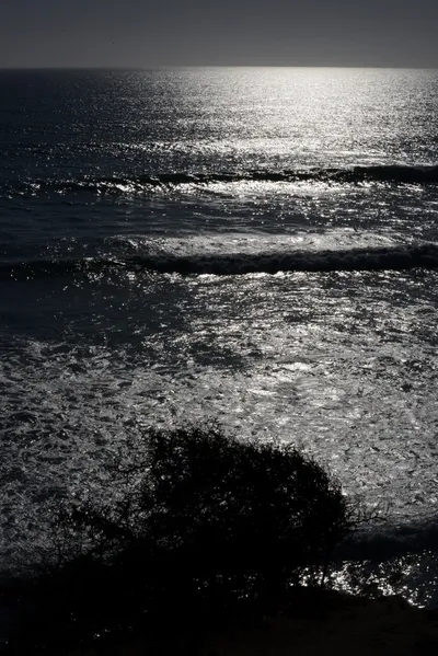 DSC_6977 (Large).JPG